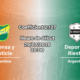 Pronostic Defensa y Justicia Deportivo Riestra – Estadio Norberto Tomaghello, Clausura 2026, 29 juillet