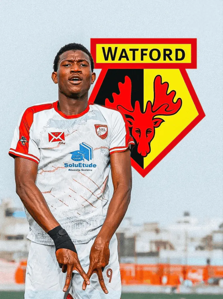 Mouhamed Diop, 17 ans : Fenerbahçe, Watford et Guingamp sur le prodige sénégalais