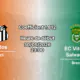Pronostic Santos Vitoria Salvador à Vila Belmiro São Paulo, Brasileirão Série A Journée 18 30 mai 2026
