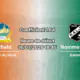 linfield_nomme_kalju_16juillet2026.jpg COVER ALT : Pronostic Linfield Nomme Kalju – Windsor Park Belfast, Ligue Conférence UEFA 1er tour qualif retour 16 juillet 2026